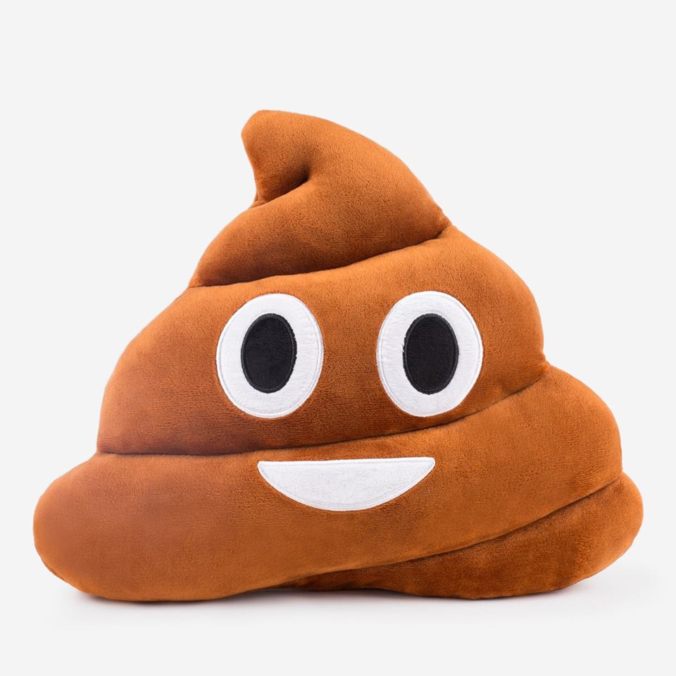 Famous POO Pillow