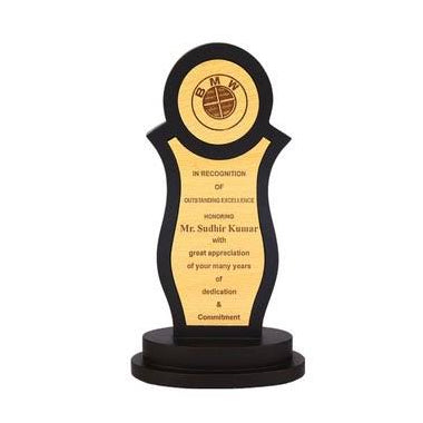Custom Acrylic Shield (5x7) (6x8) Include name and Logos