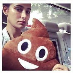 Famous POO Pillow