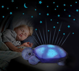 Night Light Turtle