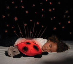 Night Light Turtle