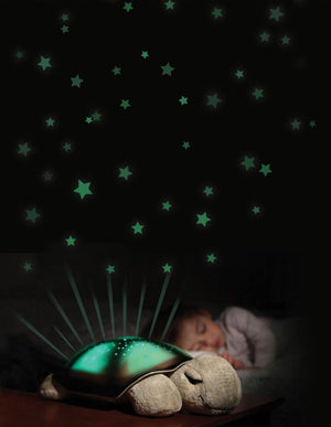 Night Light Turtle