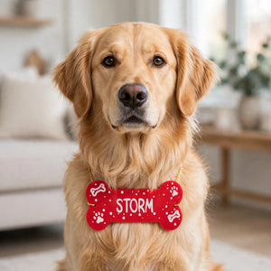 Customized Acrylic Neck Sign for Pets - 12x6 Inches | DYO