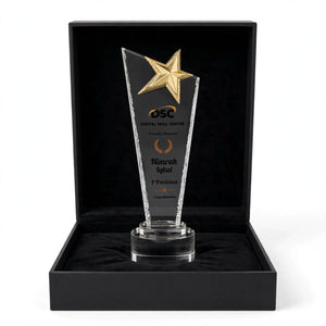 Customized Crystal Star Trophy Award – Best Student & 1st Position Award Shield | DSC Award