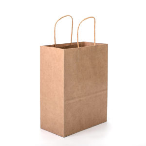 Get Your Own Kraft Paper Hand Bag With Custom Logo Printed, High Quality And Low Unit Price!