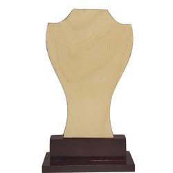 Custom Shield Non-Breakable Acrylic Shield (Awards) Size (5x7) (6x8)