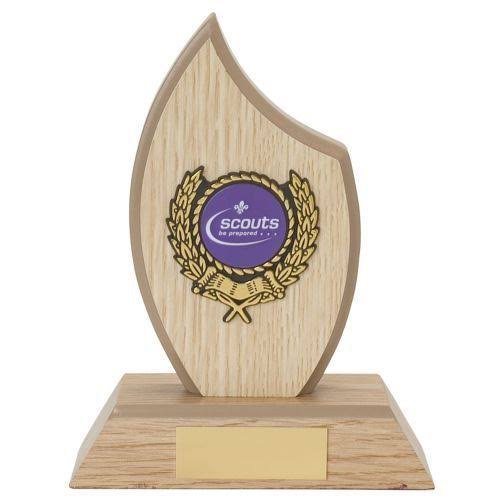Design Your Own Wooden Custom Shield (5x7) (6x8) Wooden Stand