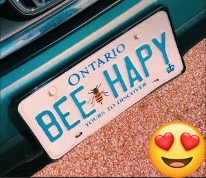 Personalized Any Car Number Plate Metal Customized With Any Text - Font And Back UV