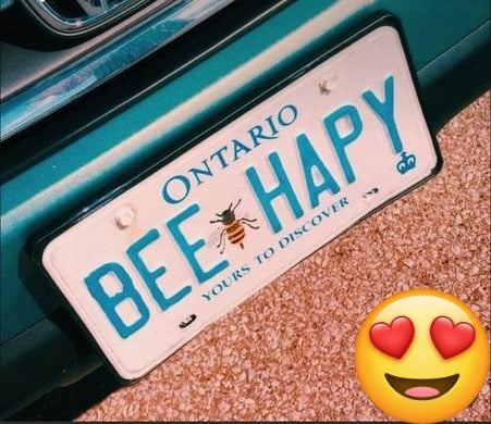 Personalized Any Car Number Plate Metal Customized With Any Text - Font And Back UV