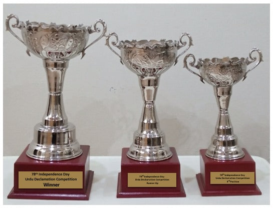 Customized Trophy (Set Of 3 Pcs)