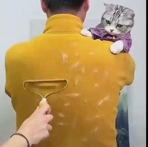 Portable Lint Remover
