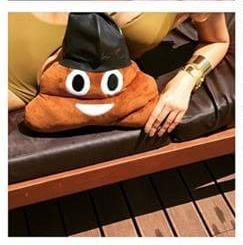 Famous POO Pillow