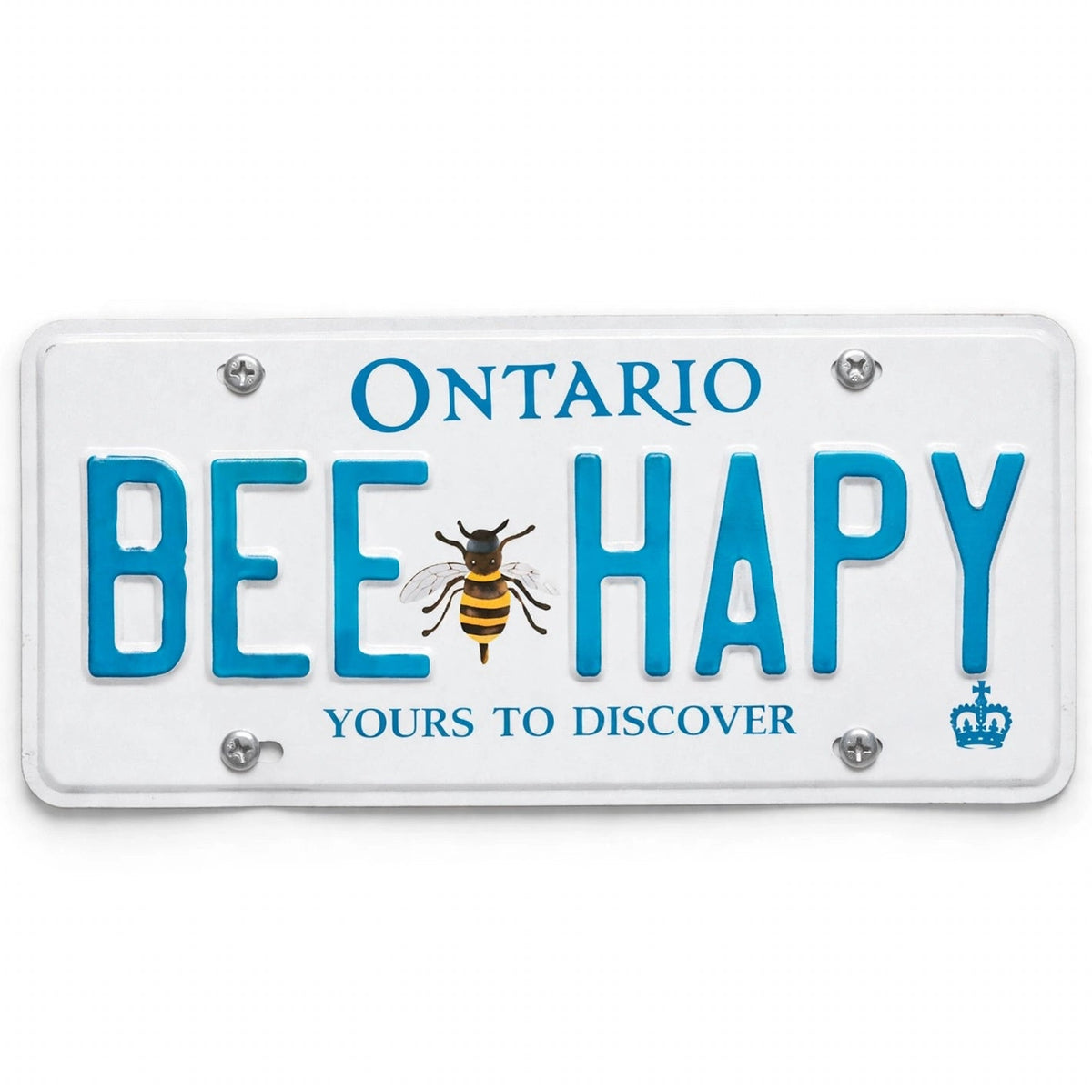 Personalized Any Car Number Plate Metal Customized With Any Text - Font And Back UV