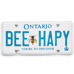 Personalized Any Car Number Plate Metal Customized With Any Text - Font And Back UV