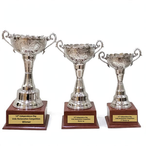 Personalized Silver Cup Trophy Set of 3 – Winner, Runner-Up & 2nd Runner-Up | Pakistan