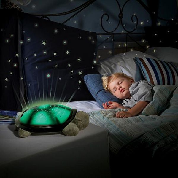 Night Light Turtle