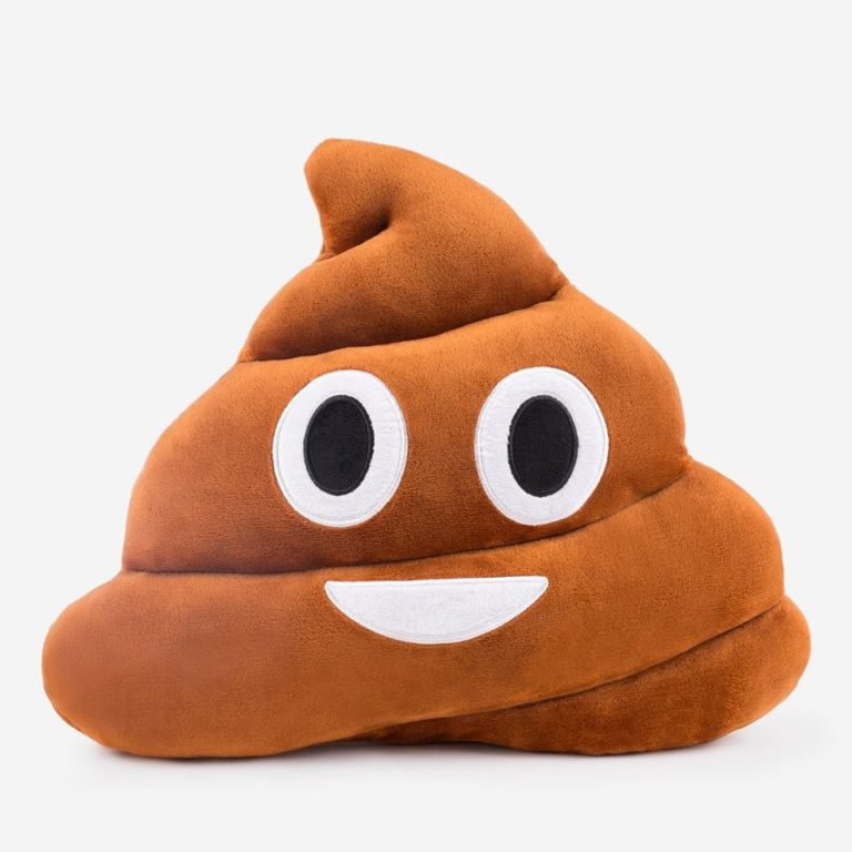 poo on pillow