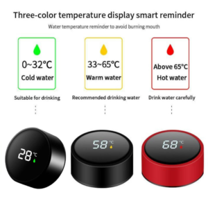 Portable Smart Thermos with Temperature Indicator