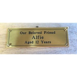 Shining Gold Brass Engraved Name Plate - 12x6