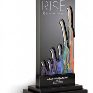 Design Your Own Custom Award