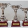 Customized Trophy (Set Of 3 Pcs)