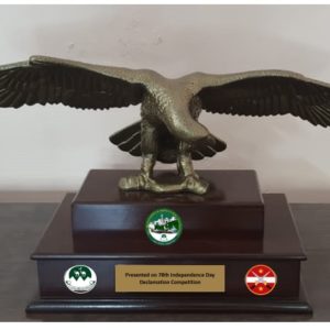Customized Souvenir - 18 To 19 Inches