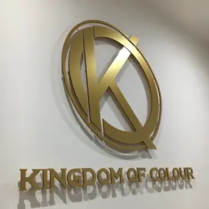 Customized Gold Steel Logo Text 3D Cutting Wall Plate - 2x2 Feet